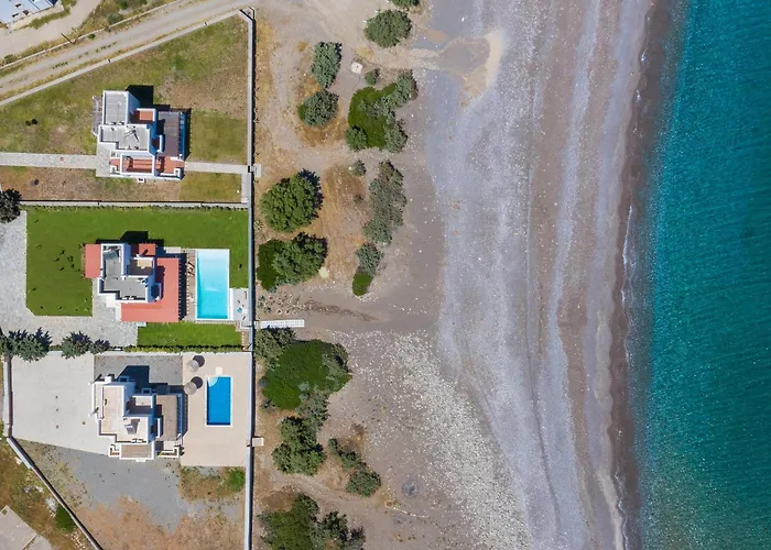 فيلة Sevil لاخنيا